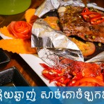 គោដុតជ្រុញ