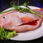 ត្រីក្រហម