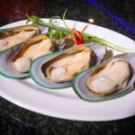 គ្រំសមុទ្រញូហ្សេឡេន