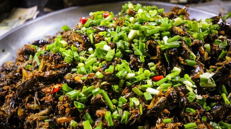 គ្រាន់តែលឺឈ្មោះក៏ចាប់អារម្មណ៍ដែរ! ចង្រិតមនោសញ្ចេតនាកោះពេជ្រ