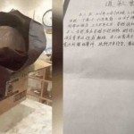 stealing a toilet seat from Japanese hotel