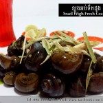 ខ្យងអប់ទឹកដូង
