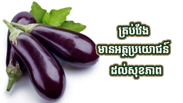 ត្រប់វែង​មាន​អត្ថប្រយោជន៍​ពិសេស​ដល់​សុខភាព