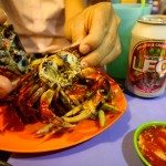 ខ្យងអប់ទឹកដូង