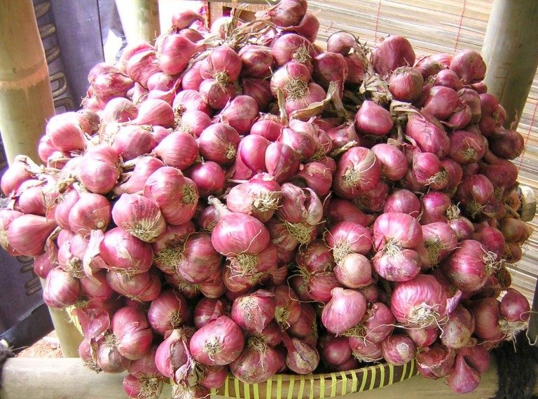 ខ្ទឹមក្រហមក៏មានសមត្ថភាពក្នុងការ​ជួយ​បំបាត់រោគ​មុន​លើ​ផ្ទៃមុខ