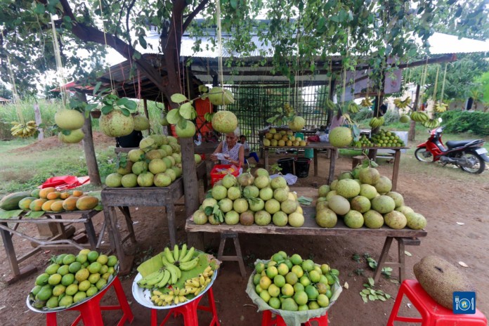 ក្រូចពោធិ៍សាត់ ស្រុកបាណន់