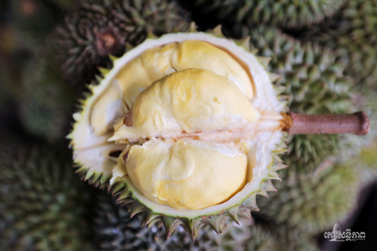 ផ្លែឈើស្រីមុំ