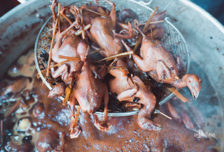 មិនឆ្ងល់ទៀតអី! បក្សីសមុទ្រផាក់ឡូវពិសេស