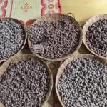 ប្រហិតសាច់គោ J Mey សាលាចិន 