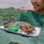 ចំការផ្កាឈូក ភ្នំក្រោមសៀមរាប