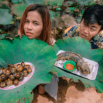 ចំការផ្កាឈូក ភ្នំក្រោមសៀមរាប