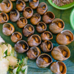 ចំការផ្កាឈូក ភ្នំក្រោមសៀមរាប