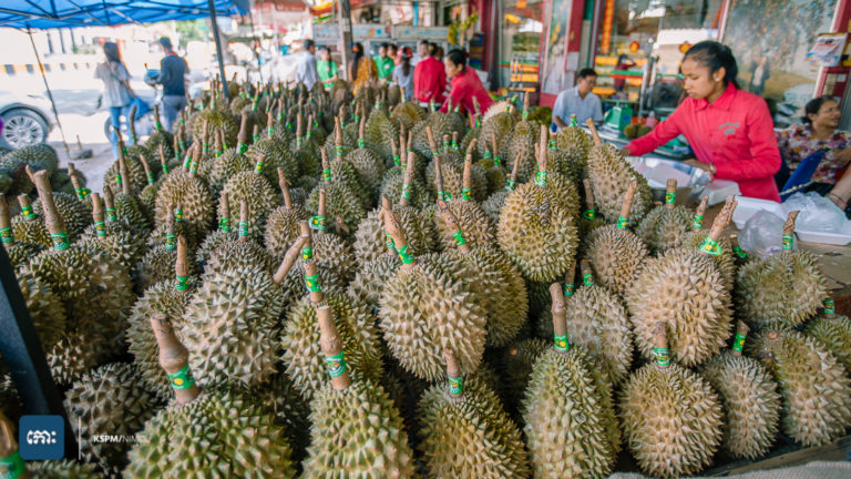 បើទំនងឆ្ងាញ់ចឹងៗអី ទ្រាំមិនបានទេ ទុរេនស្រីមុំ