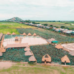 ចំការផ្កាឈូក ភ្នំក្រោមសៀមរាប
