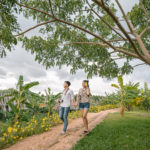 La Plantation