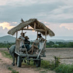 La Plantation