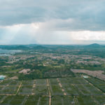 La Plantation