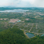La Plantation