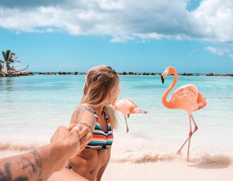 ដែនកោះឯកជន Aruba ជាទីកន្លែងភ្ញៀវទេសចរប្រាថ្នាចង់ទៅផ្ដិតរូបជាមួយ Flamingo