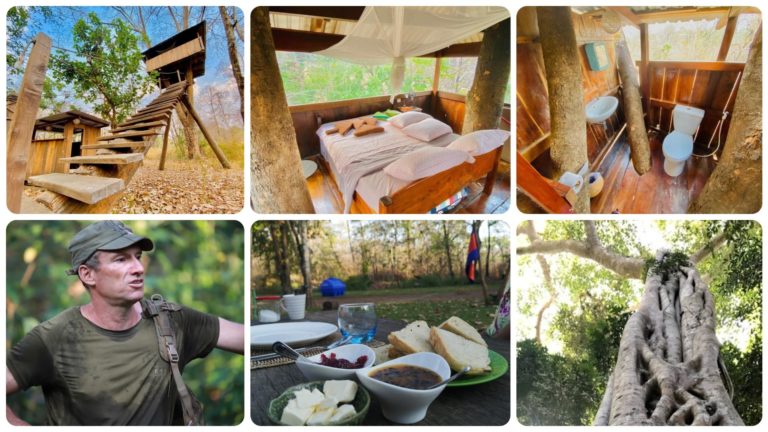 ញ៉ាំ គេង ទឹកភ្លើង លើផ្ទះដើមឈើ របស់ បេន មិនចាញ់អូតែលលំដាប់ផ្កាយ