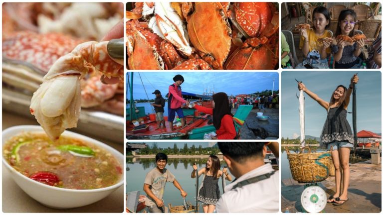 ទៅលេងកំពតចង់ញ៊ាំគ្រឿងសមុទ្រឲ្យបបូរ ធូរថ្លៃ និងធម្មជាតិស្រស់ៗ ធ្វើម៉េចទៅ?
