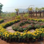 សួន សន្តិភូមិ Suon Santiphumi