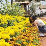 សួន សន្តិភូមិ Suon Santiphumi៣
