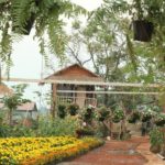 សួន សន្តិភូមិ Suon Santiphumi៥
