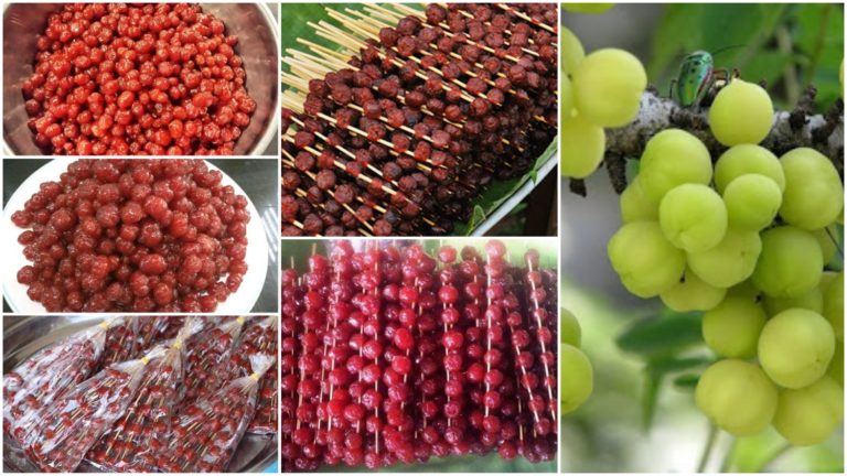 ធ្លាប់ញ៊ាំដំណាប់កន្ទួត ឬកន្ទួតឆឹងស្ករអត់? ចង់ធ្វើទុកញ៊ាំលេង តោះចាប់ផ្តើមធ្វើទាំងអស់គ្នា!