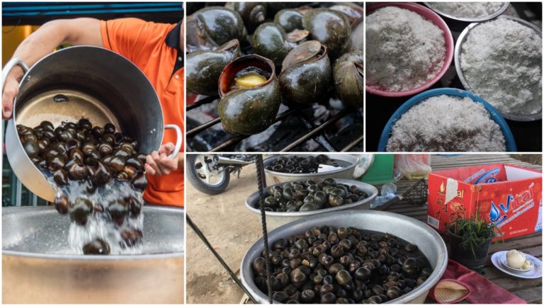 ចេះ១របៀបនេះ ចង់សំអាតខ្យងស្អាត អស់ដី អស់ភក់ ប្រើពេលតែ១ម៉ោងបានញ៊ាំហើយ !