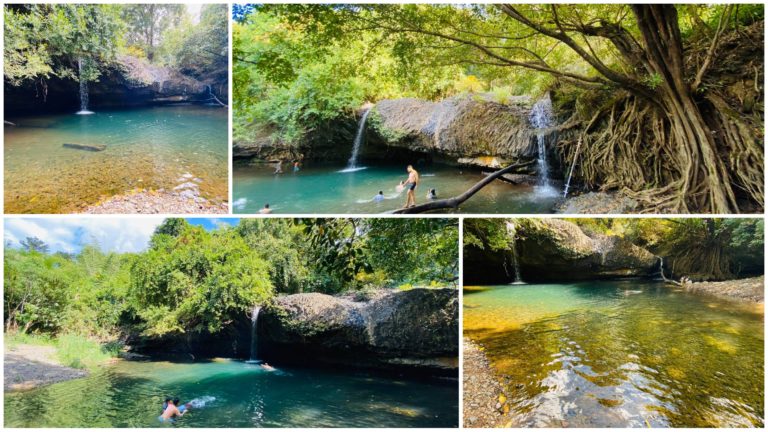 ងូតទឹកថ្លាដូចកញ្ចក់ និងស្ដាប់សម្លេងសត្វយំអឺងកងក្នុងព្រៃមួយជីវិតមានប៉ុន្មានដង