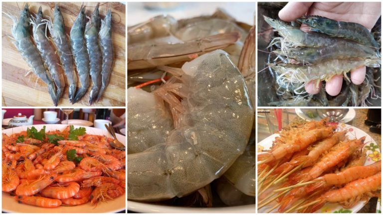 ចេះតែ ៤ ក្បាច់នេះធានាថាទិញបង្គាញ៉ាំបានស្រស់ លែងចាញ់បោកអ្នកលក់ហើយ