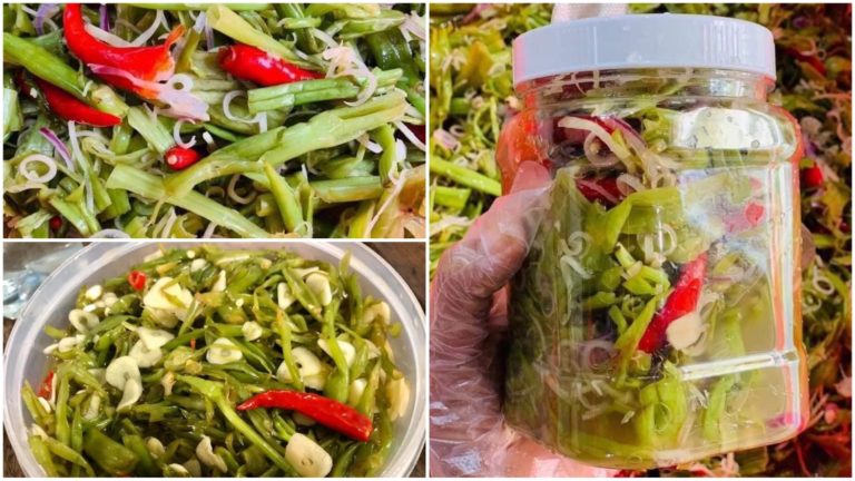 អស់លុយតិច ហើយញ៊ាំបានយូរទៀត របៀបធ្វើជ្រកត្រកួន​