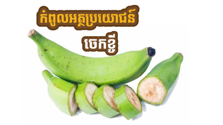 ចេកខ្ចីលាក់កំពូលអត្ថប្រយោជន៍ ៤ យ៉ាង មិនសូវមានអ្នកដឹង