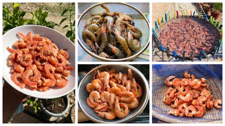បង្គាក្រៀមធំៗ តាមពិតគេធ្វើបែបនេះសោះ
