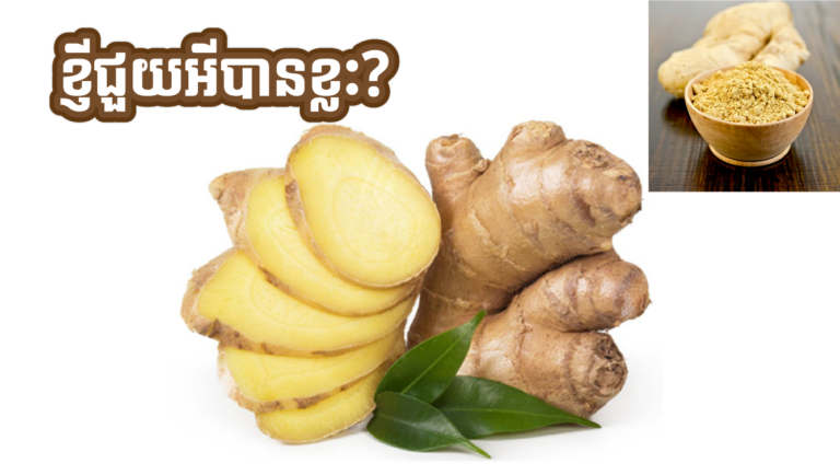 នឹងមានរឿងអីកើតឡើងចំពោះរាងកាយ​ បើយើងញ៉ាំខ្ញីរាល់ថ្ងៃ?