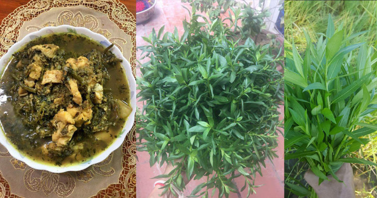 ធ្លាប់បានញ៉ាំនៅសម្លកកូរកណ្តៀង​ ឬសម្លកកូរប្រូង​ ប្រចាំខេត្តស្វាយរៀង លឺល្បីថាឆ្ងាញ់ប្លែក ​តោះសាកធ្វើញ៉ាំទាំងអស់គ្នា?