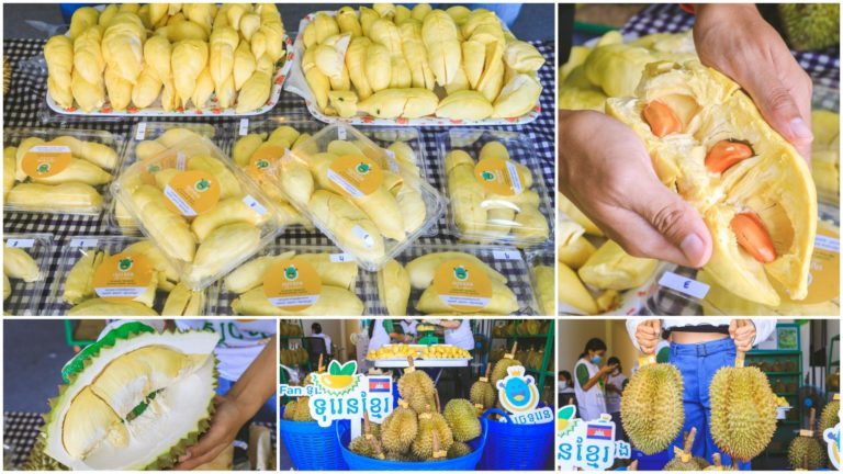 ទិញ10kg ថែម2kg? ទុរេនម៉នថងសាច់សុទ្ធ សាច់ក្រាស់ គ្រាប់តូច ផ្អែមឆ្ងាញ់អស់ទាស់ ពីហាង ស្ដេចទុរេន